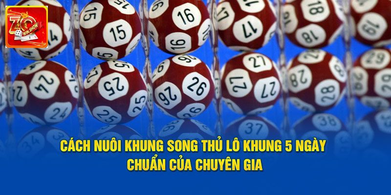Song Thủ Lô Zowin - Cách Chơi Hiệu Quả Cho Người Mới Kinh nghiệm quan trọng “săn” song thủ lô