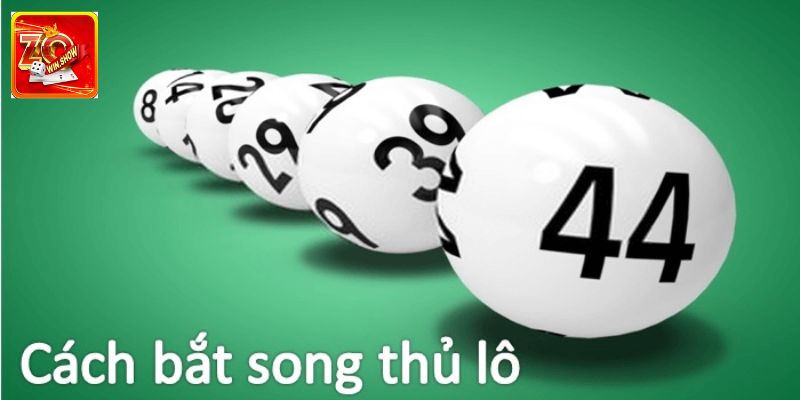 Song Thủ Lô Zowin - Cách Chơi Hiệu Quả Cho Người Mới Tất cả cách nuôi khung song thủ lô thông dụng nhất